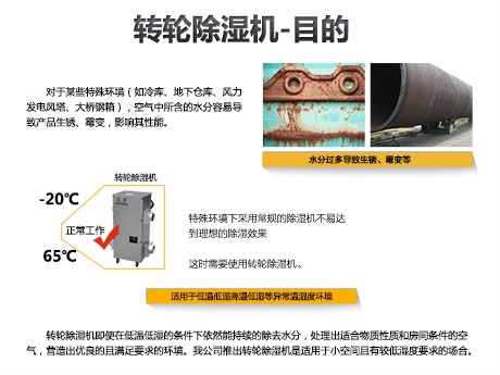 貓糧防潮秘籍，貓糧如何儲存