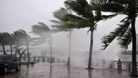 8月臺(tái)風(fēng)雨即將來(lái)，除濕機(jī)還得用起來(lái)