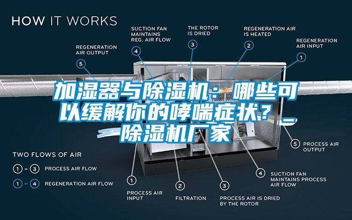 加濕器與除濕機：哪些可以緩解你的哮喘癥狀？_除濕機廠家