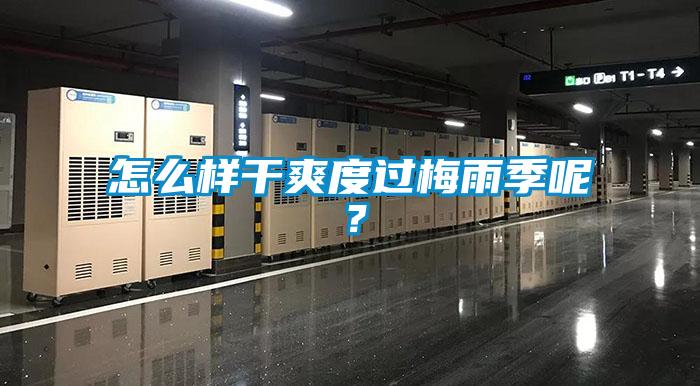 怎么樣干爽度過(guò)梅雨季呢？