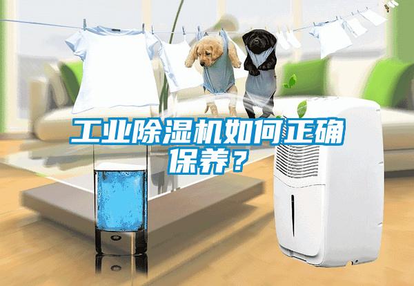 工業(yè)除濕機(jī)如何正確保養(yǎng)？