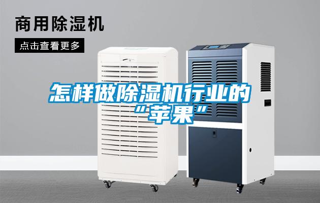 怎樣做除濕機(jī)行業(yè)的“蘋(píng)果”