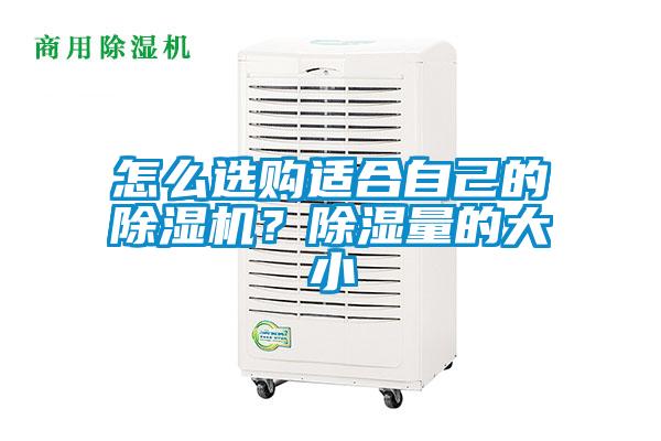 怎么選購適合自己的除濕機(jī)？除濕量的大小