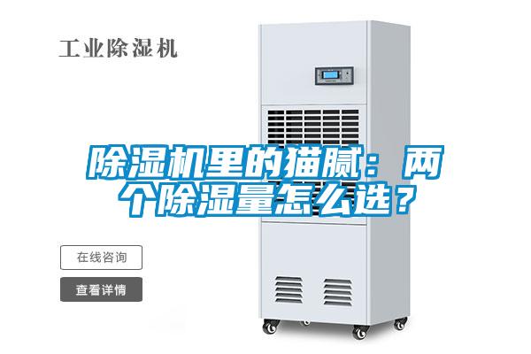 除濕機(jī)里的貓膩：兩個(gè)除濕量怎么選？