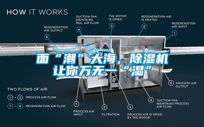 面“潮”大海，除濕機讓你萬無一“濕”