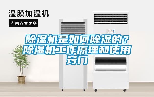 除濕機是如何除濕的？除濕機工作原理和使用竅門