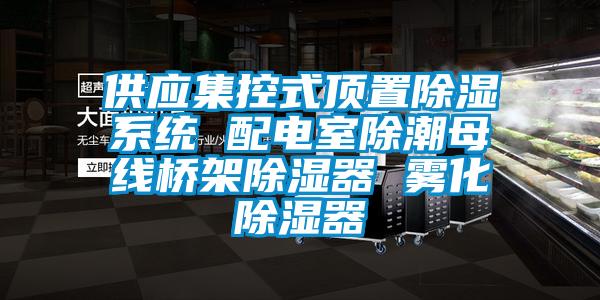 供應(yīng)集控式頂置除濕系統(tǒng) 配電室除潮母線橋架除濕器 霧化除濕器