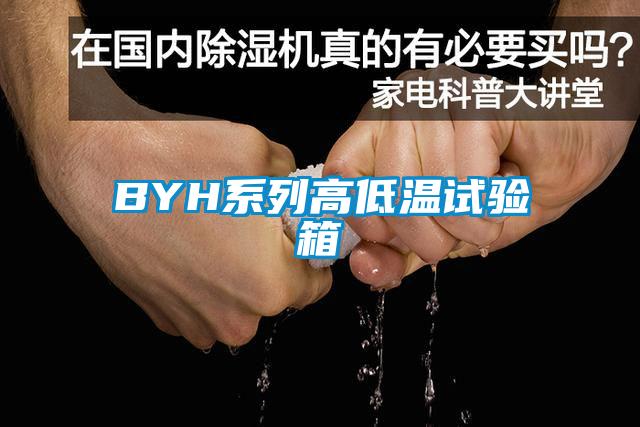 BYH系列高低溫試驗箱