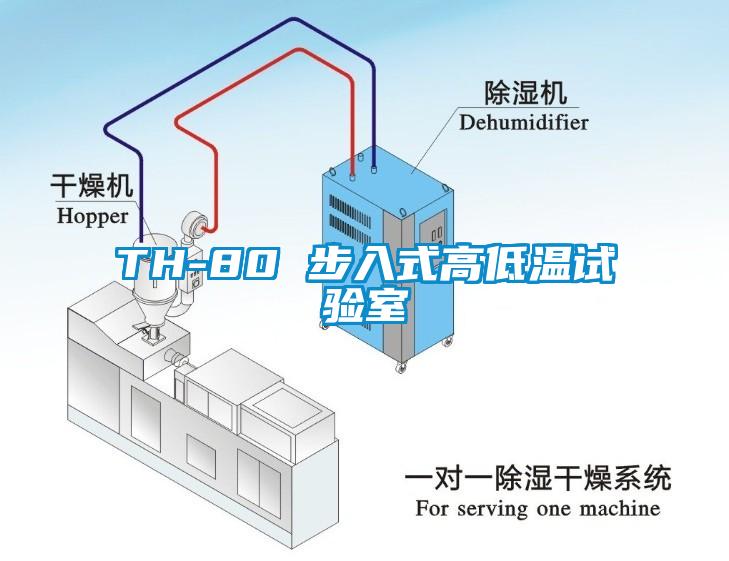 TH-80 步入式高低溫試驗(yàn)室