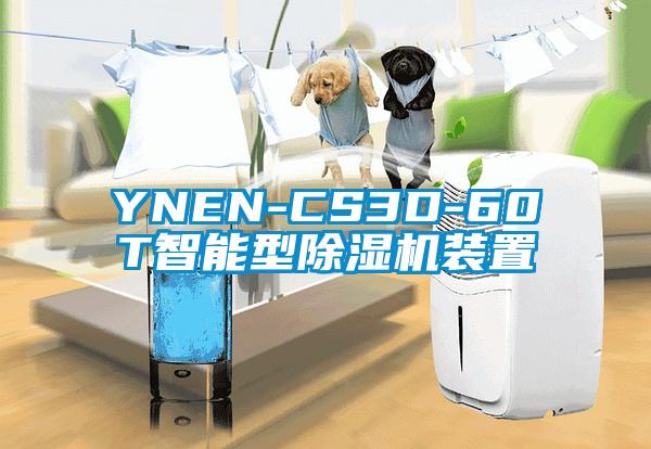 YNEN-CS3D-60T智能型除濕機(jī)裝置