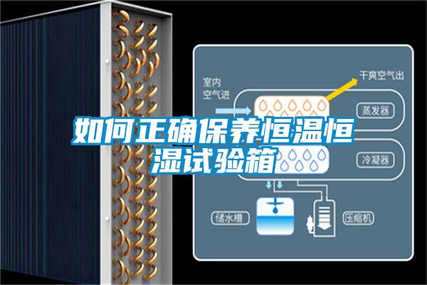 如何正確保養(yǎng)恒溫恒濕試驗箱