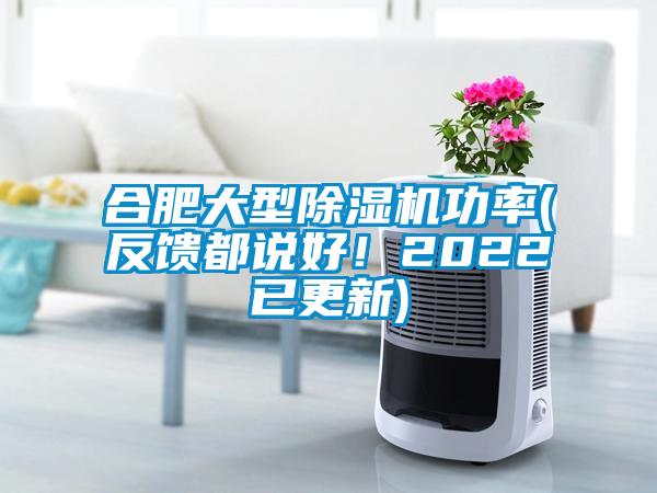 合肥大型除濕機(jī)功率(反饋都說好！2022已更新)