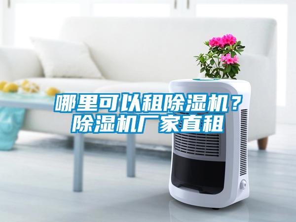 哪里可以租除濕機？除濕機廠家直租