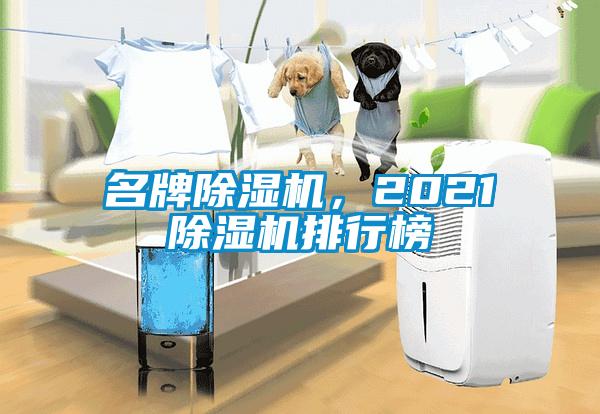 名牌除濕機，2021除濕機排行榜