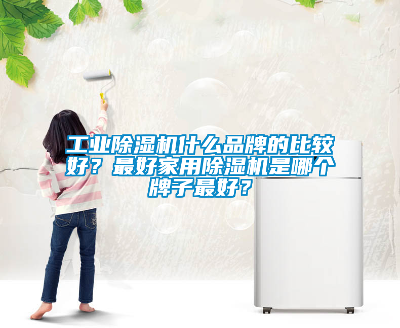 工業(yè)除濕機(jī)什么品牌的比較好？最好家用除濕機(jī)是哪個牌子最好？