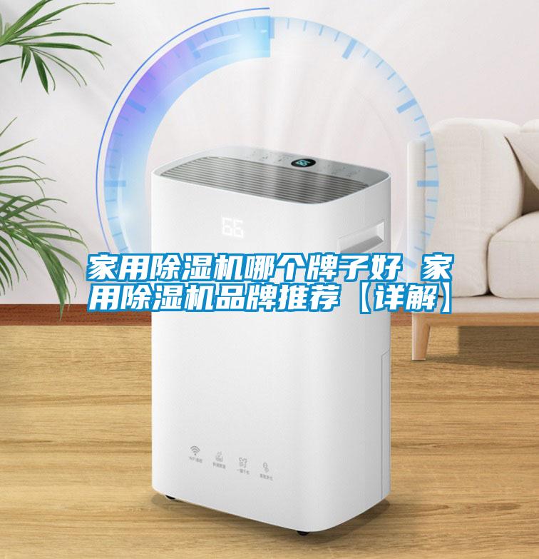 家用除濕機哪個牌子好 家用除濕機品牌推薦【詳解】