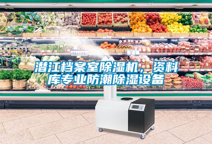 潛江檔案室除濕機，資料庫專業(yè)防潮除濕設備