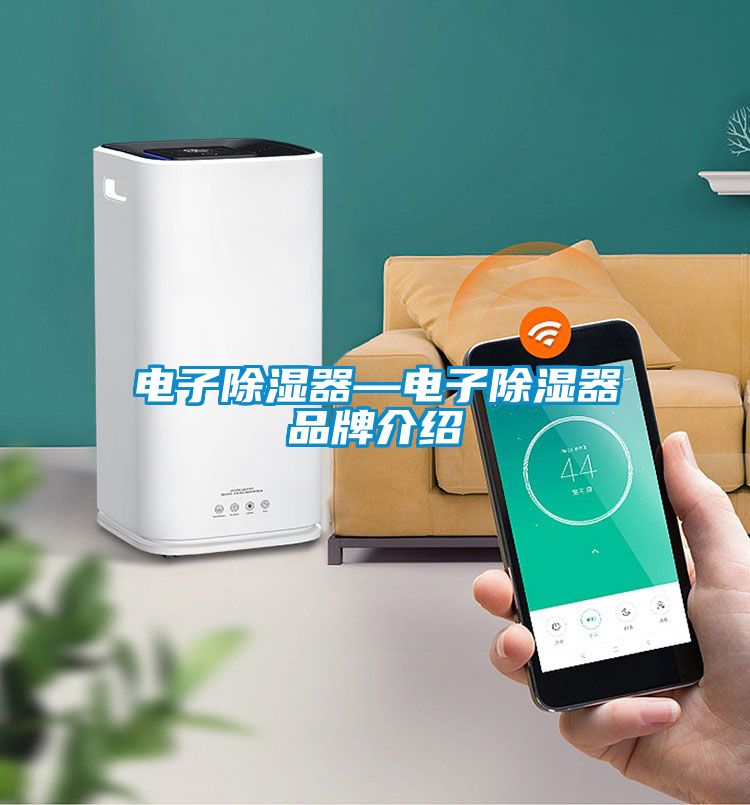 電子除濕器—電子除濕器品牌介紹