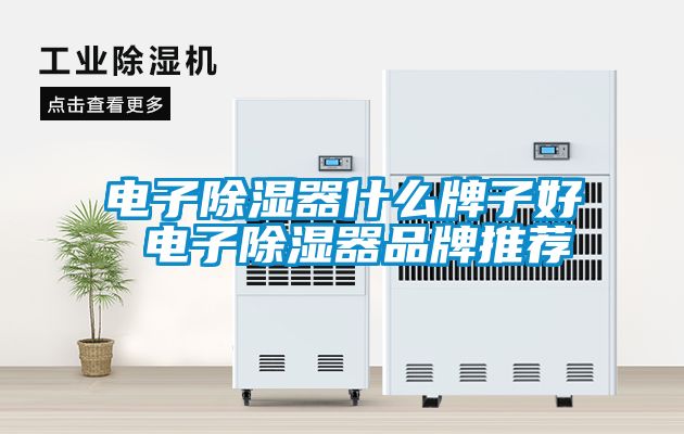 電子除濕器什么牌子好 電子除濕器品牌推薦