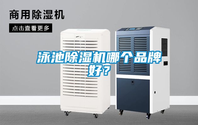 泳池除濕機哪個品牌好？