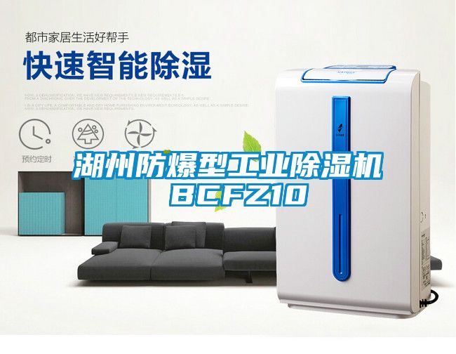 湖州防爆型工業(yè)除濕機 BCFZ10