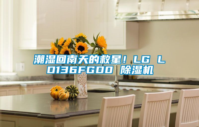 潮濕回南天的救星！LG LD136FGD0 除濕機(jī)