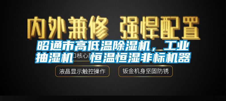 昭通市高低溫除濕機，工業(yè)抽濕機  恒溫恒濕非標機器