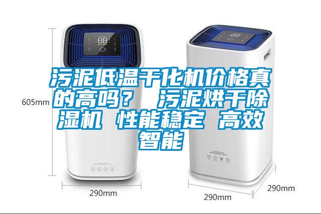 污泥低溫干化機價格真的高嗎？ 污泥烘干除濕機 性能穩(wěn)定 高效智能