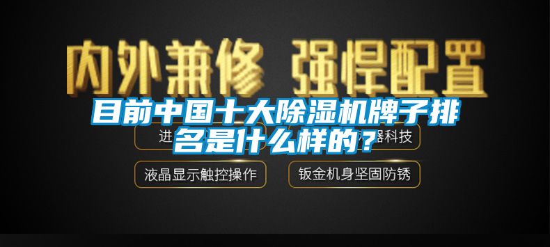 目前中國(guó)十大除濕機(jī)牌子排名是什么樣的？