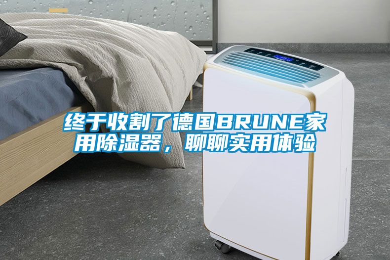 終于收割了德國BRUNE家用除濕器，聊聊實(shí)用體驗(yàn)