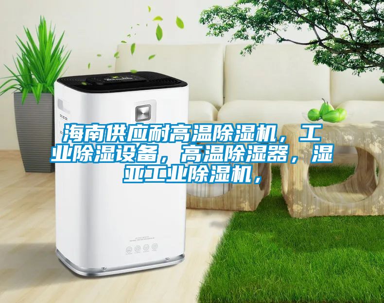 海南供應耐高溫除濕機，工業(yè)除濕設備，高溫除濕器，濕亞工業(yè)除濕機，