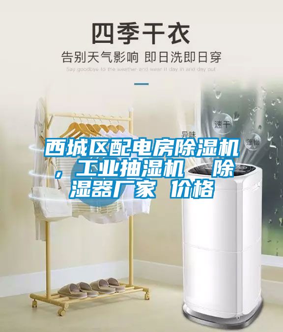 西城區(qū)配電房除濕機(jī)，工業(yè)抽濕機(jī)  除濕器廠家 價(jià)格