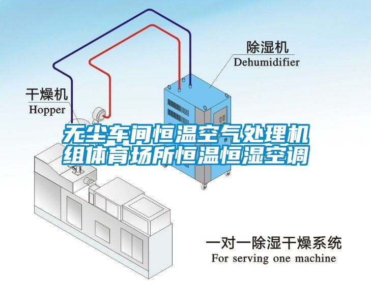 無塵車間恒溫空氣處理機組體育場所恒溫恒濕空調(diào)