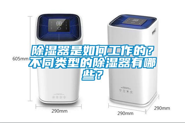 除濕器是如何工作的？不同類型的除濕器有哪些？