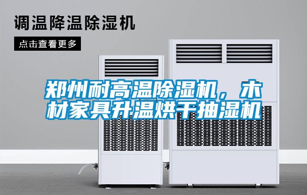 鄭州耐高溫除濕機，木材家具升溫烘干抽濕機