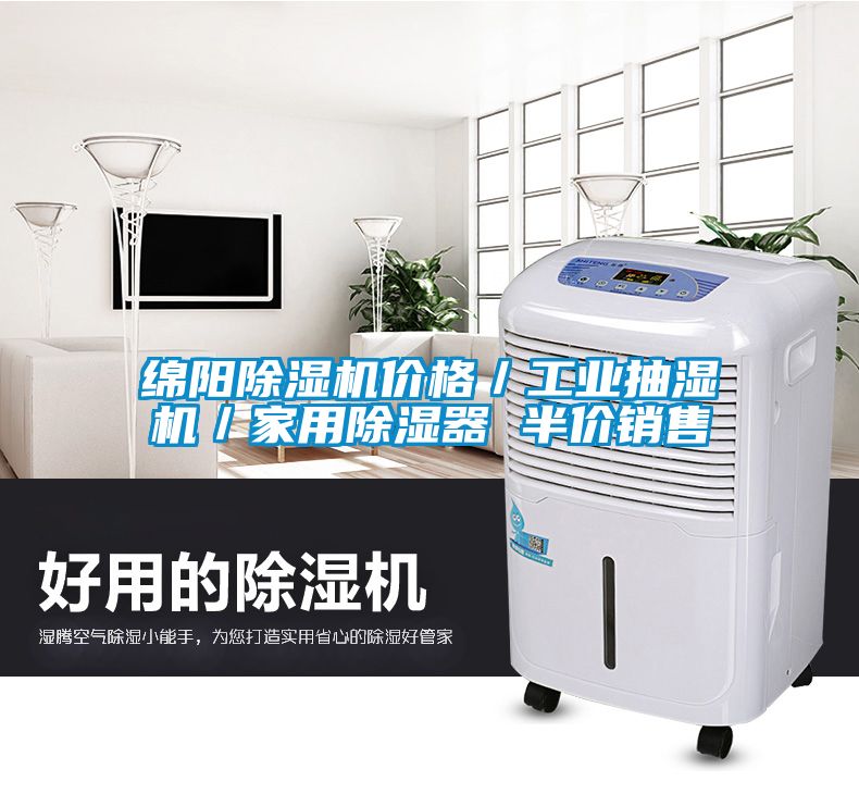 綿陽除濕機價格／工業(yè)抽濕機／家用除濕器 半價銷售