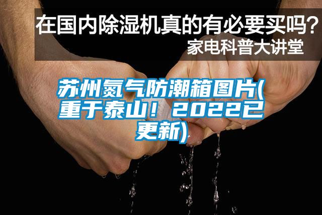 蘇州氮?dú)夥莱毕鋱D片(重于泰山！2022已更新)