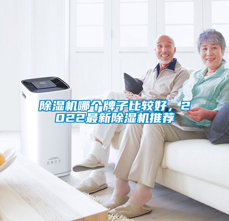 除濕機哪個牌子比較好，2022最新除濕機推薦