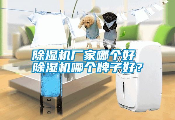 除濕機廠家哪個好 除濕機哪個牌子好？