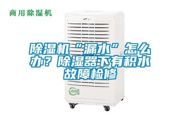 除濕機(jī)“漏水”怎么辦？除濕器下有積水故障檢修