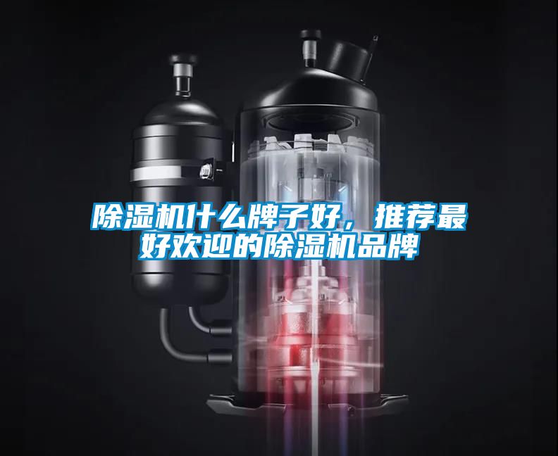 除濕機(jī)什么牌子好，推薦最好歡迎的除濕機(jī)品牌