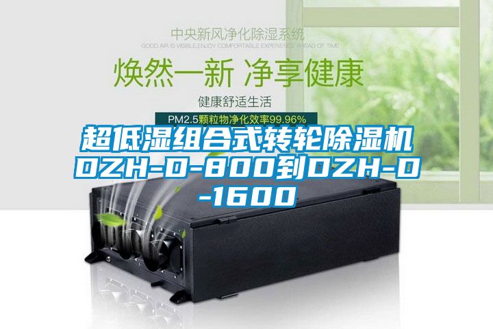 超低濕組合式轉(zhuǎn)輪除濕機DZH-D-800到DZH-D-1600