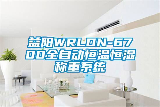 益陽WRLDN-6700全自動(dòng)恒溫恒濕稱重系統(tǒng)