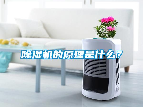 除濕機(jī)的原理是什么？