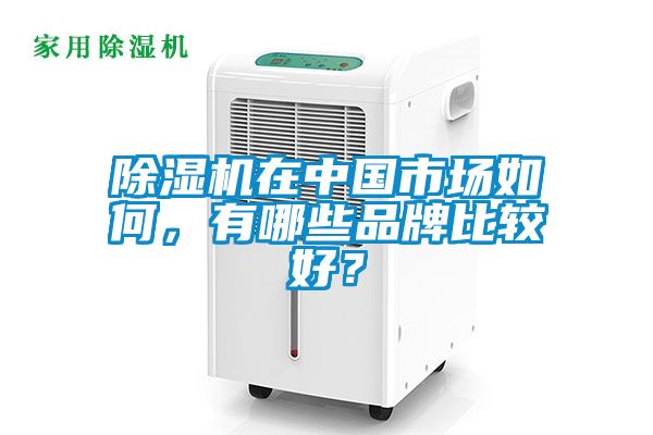 除濕機(jī)在中國市場如何，有哪些品牌比較好？