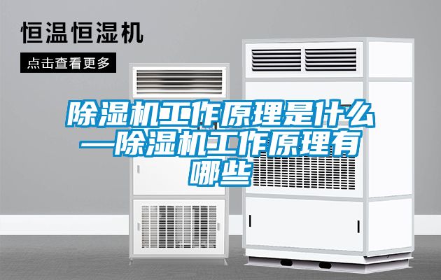 除濕機工作原理是什么—除濕機工作原理有哪些