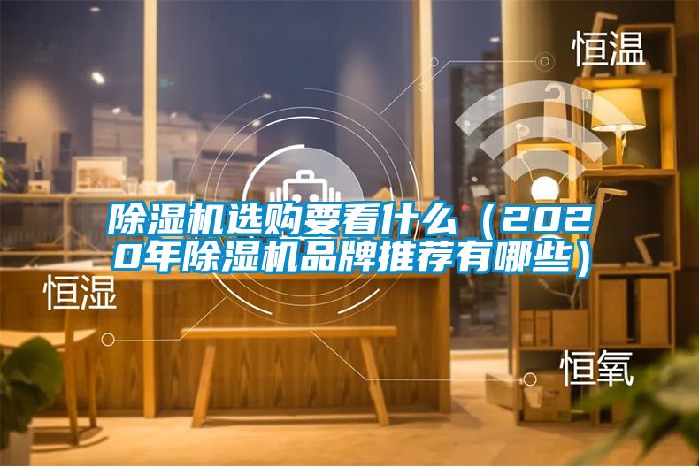 除濕機(jī)選購要看什么（2020年除濕機(jī)品牌推薦有哪些）