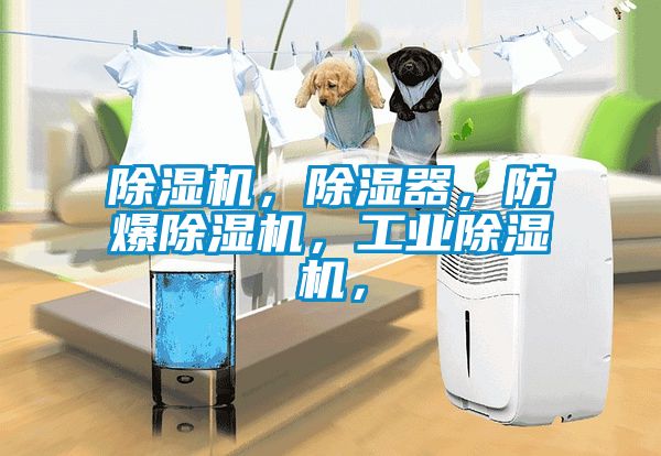 除濕機，除濕器，防爆除濕機，工業(yè)除濕機，