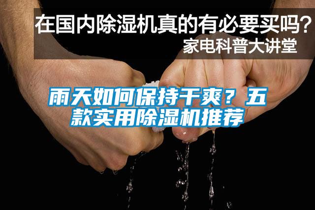 雨天如何保持干爽？五款實用除濕機推薦