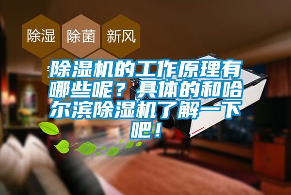 除濕機的工作原理有哪些呢？具體的和哈爾濱除濕機了解一下吧！